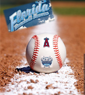 Florida Baseball Heaven